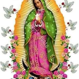 Meet your Posher, Claudia